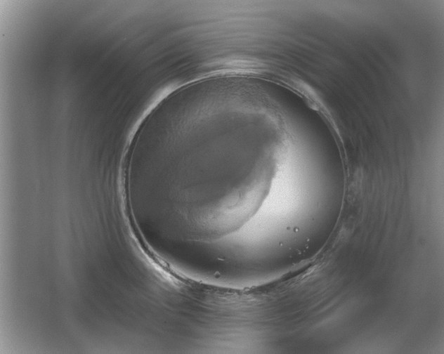 X0000067351243200603311144