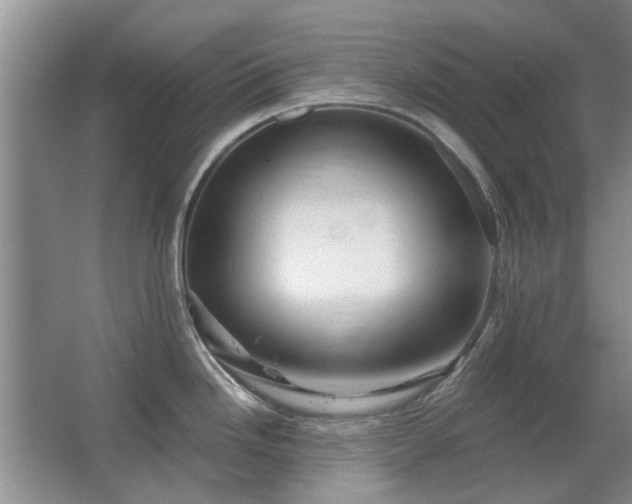 X0000067351246200603311144