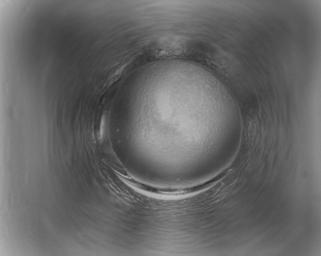 X0000067351250200603311143