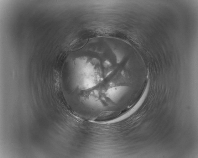 X0000067351251200603311143
