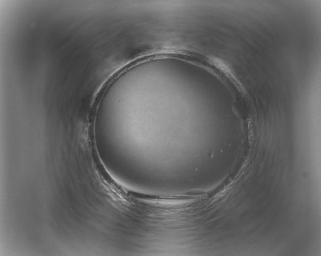 X0000067351260200603311143