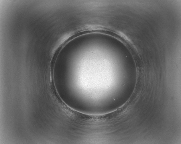 X0000067351269200603311143