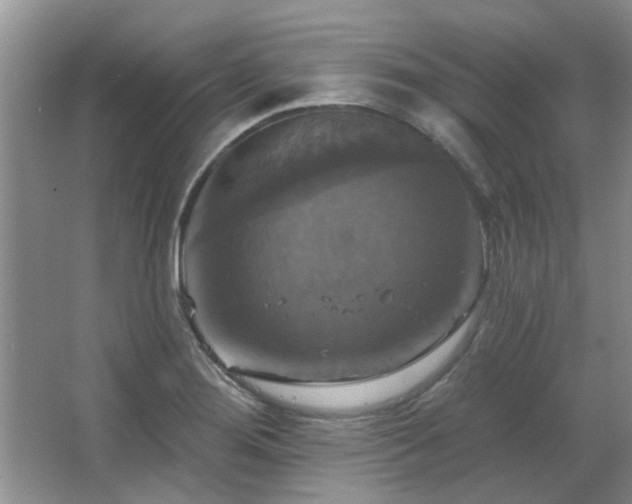 X0000067351276200603311143