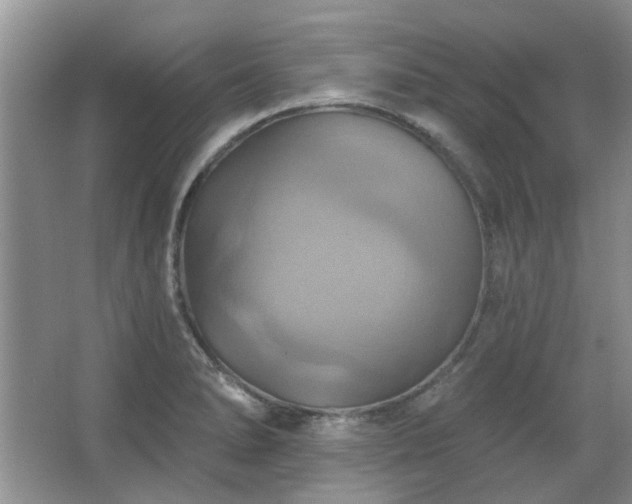 X0000067351278200603311142