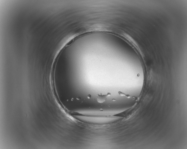 X0000067351293200603311142