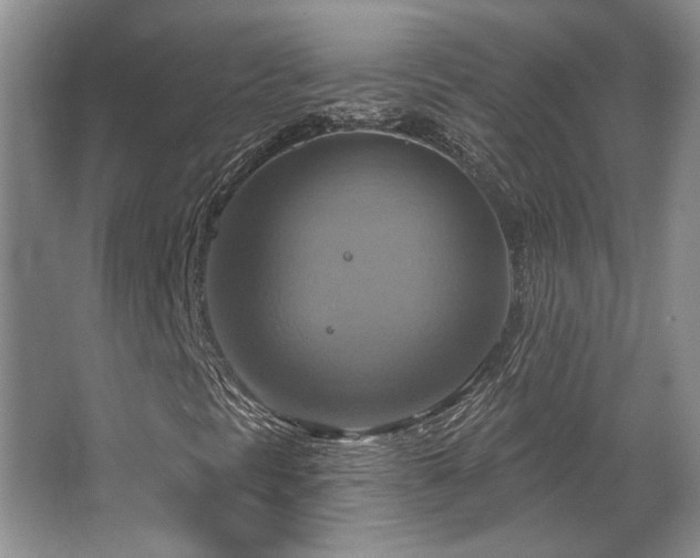 X0000067351297200603311141