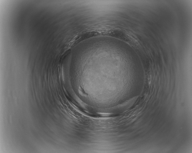 X0000067351298200603311141