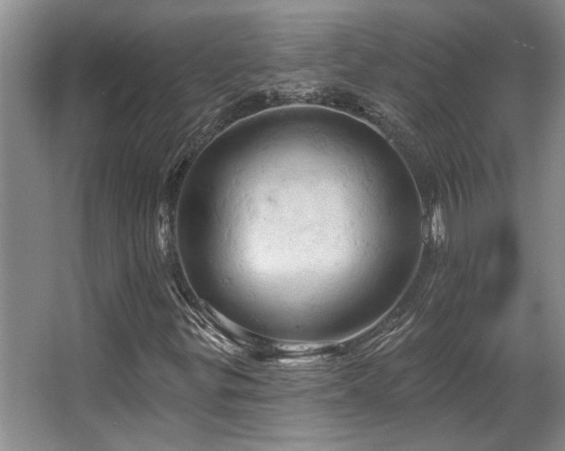X0000067351299200603311141