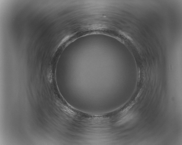 X0000067351306200603311142