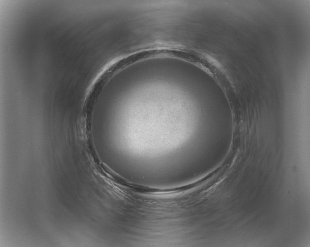 X0000067351310200603311142