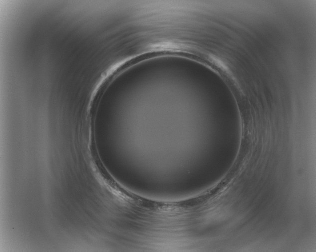 X0000067351323200603311142
