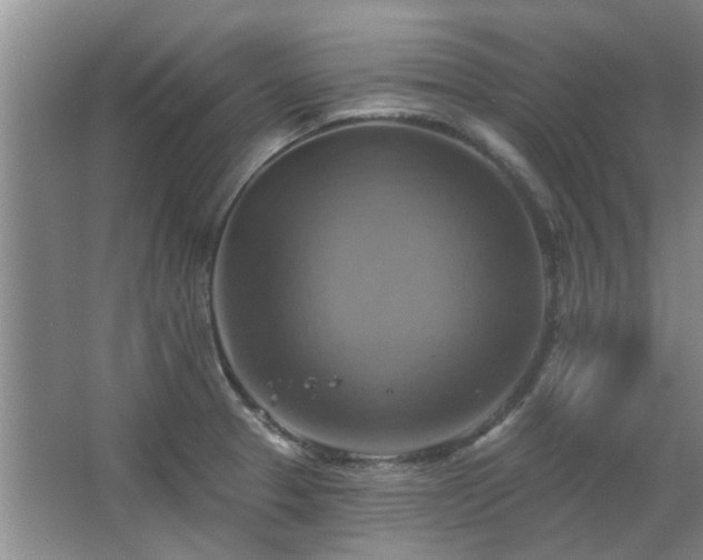X0000067351329200603311142