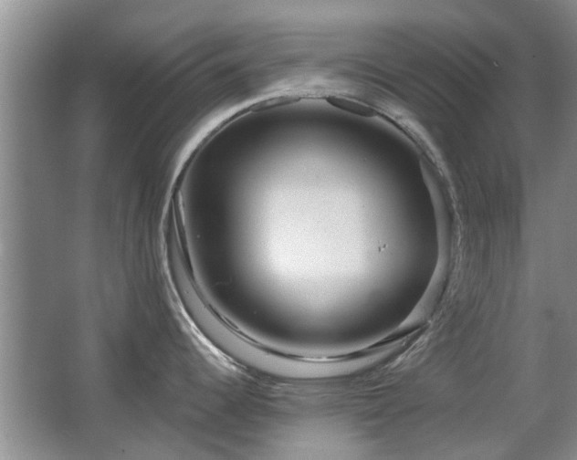X0000067351344200603311142
