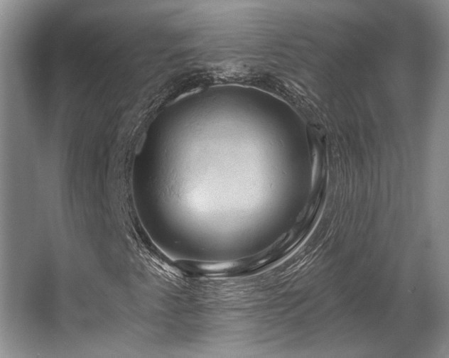 X0000067351345200603311141