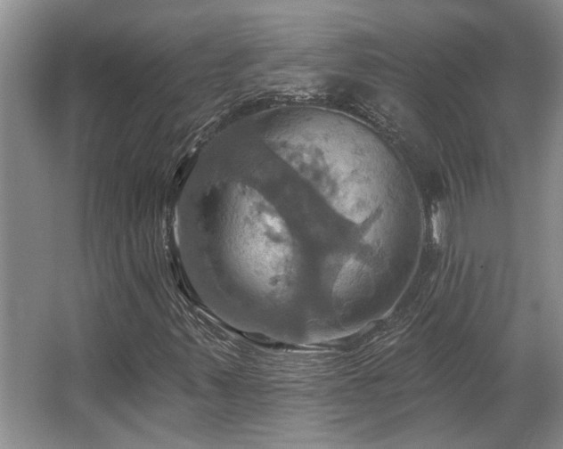 X0000067351347200603311141