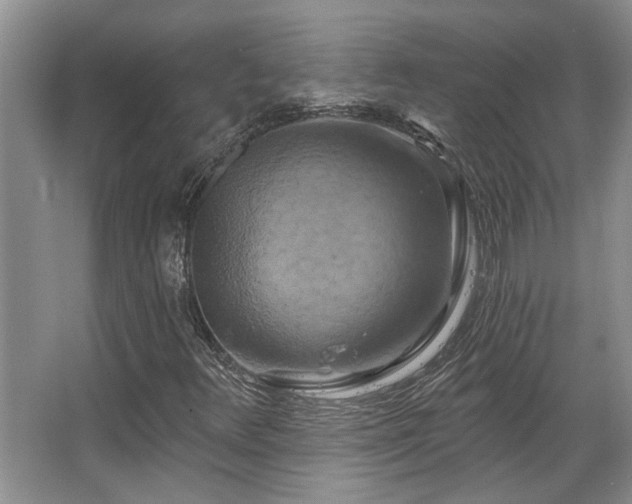 X0000067351348200603311141