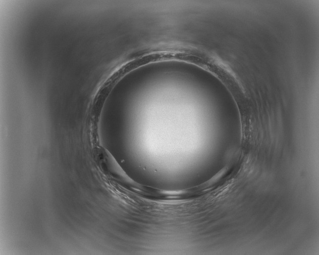 X0000067351352200603311141