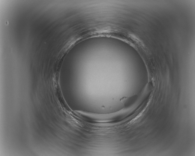 X0000067351353200603311141