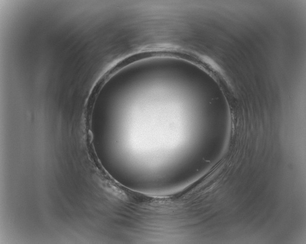 X0000067351364200603311141