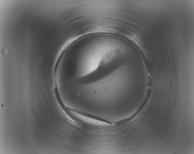 X0000067351371200603311141