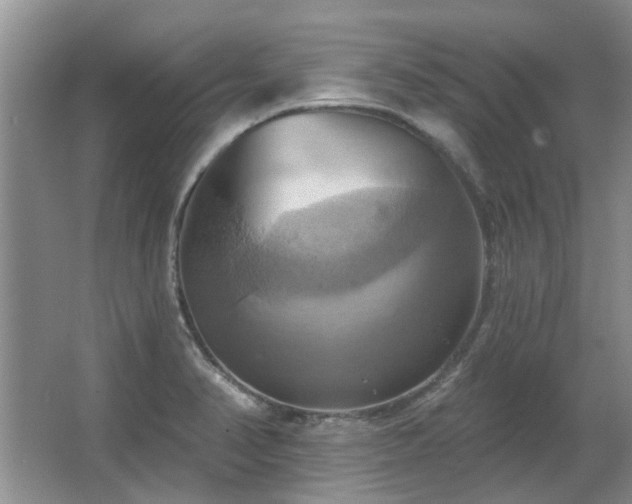 X0000067351374200603311141