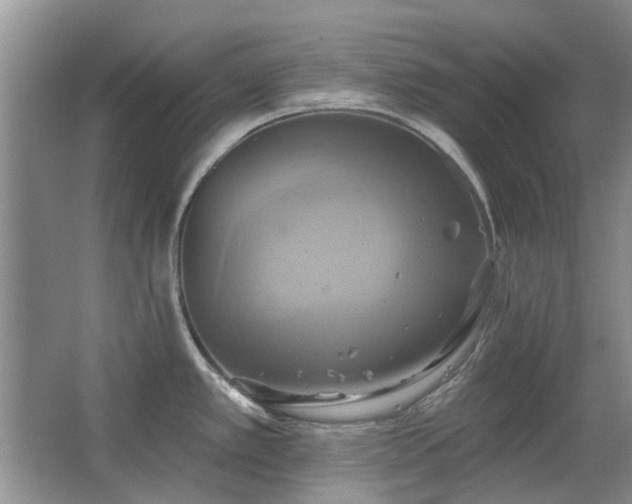 X0000067351389200603311141