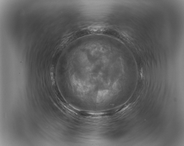 X0000067351396200603311140