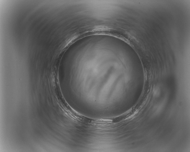 X0000067351401200603311140