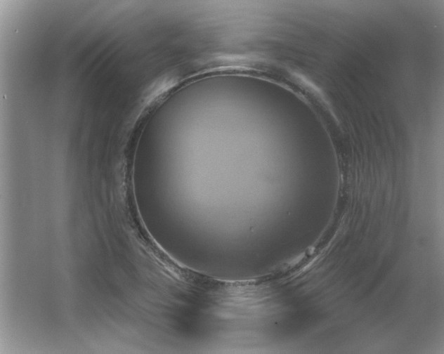 X0000067351411200603311140
