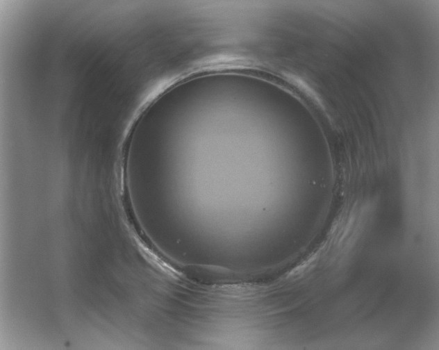 X0000067351413200603311140