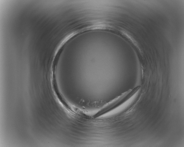 X0000067351418200603311140