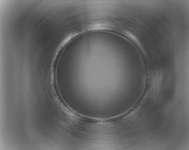 X0000067351419200603311140