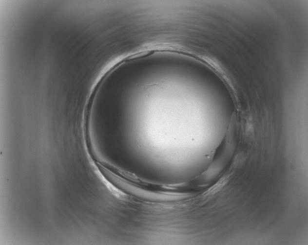 X0000067351438200603311140