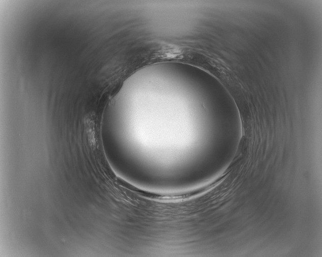 X0000067351442200603311140