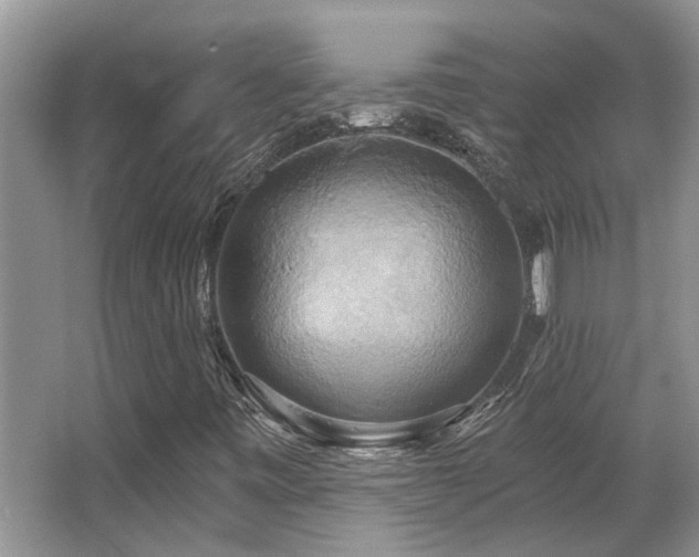 X0000067351443200603311140
