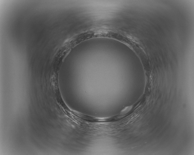 X0000067351445200603311140