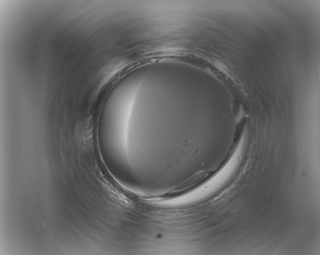 X0000067351450200603311140