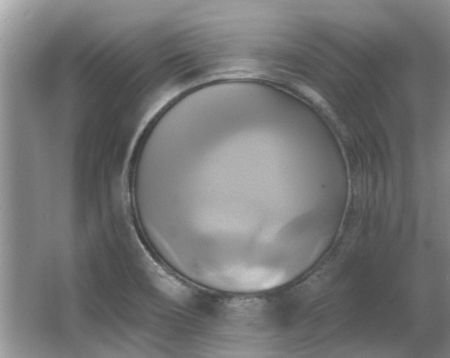 X0000067351466200603311139
