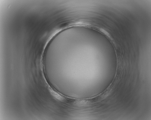 X0000067351474200603311139