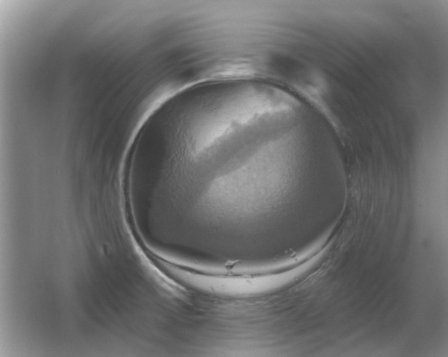 X0000067351475200603311139