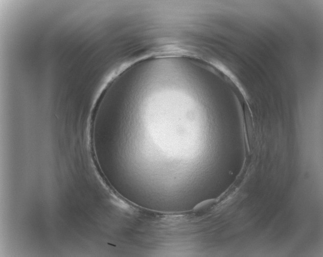 X0000067351477200603311139