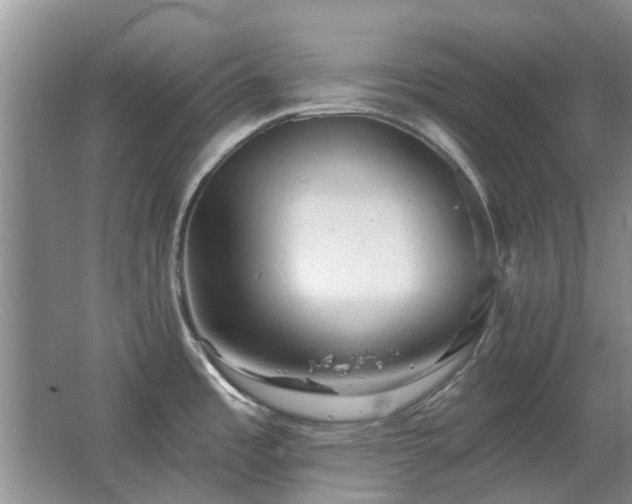 X0000067351485200603311139