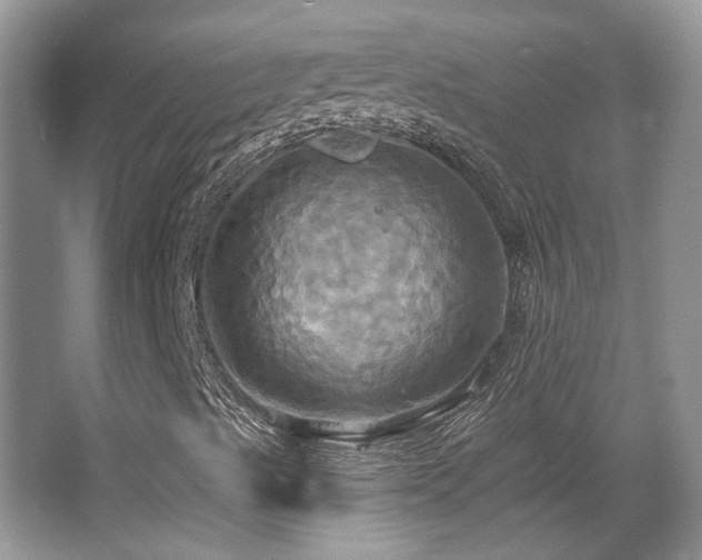 X0000067351489200603311138