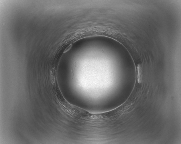 X0000067351491200603311138