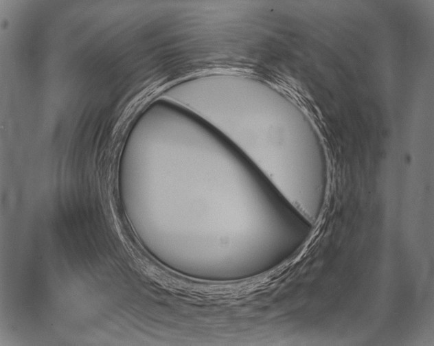 X0000067350001200604030945