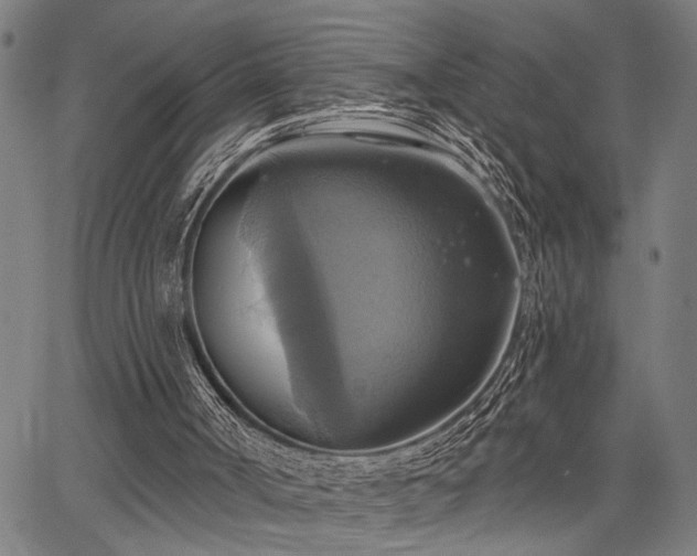 X0000067350002200604030945