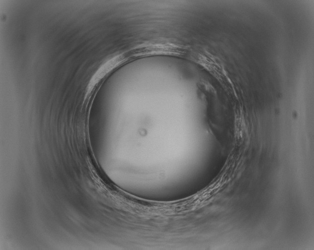 X0000067350004200604030945