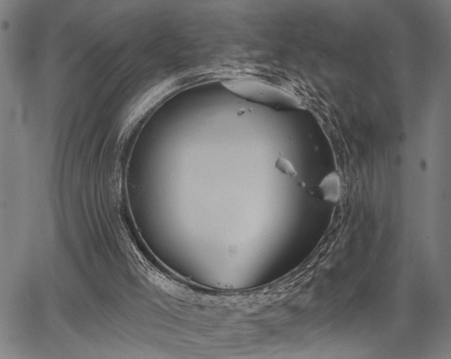 X0000067350005200604030945