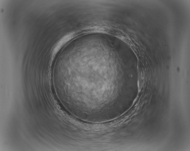 X0000067350006200604030945