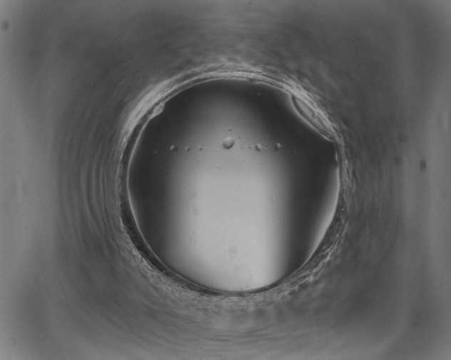 X0000067350007200604030945